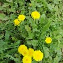 종합운동장(골프장) 이미지