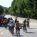 정모 카카오 검색결과