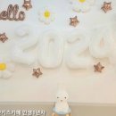 인생1년차