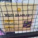 데일리테니스24광주
