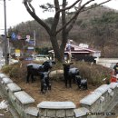 금성동 교차로 1 네이버블로그