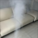 삼환밝은세탁 | 부산소파청소업체 진짜깨끗 부산본점에서의 소파 청소 후기