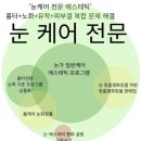 살아있는 글쓰기 | 메타코드 블로그 3주차 후기 일관성있는 글쓰기 by.gemini