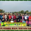 제28회 수요일 청심원 정모 는 눈이많이와서 취소합니다 이미지