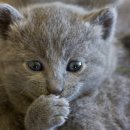 풀타임 PC방 이미지