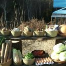 자발적 고립 이미지