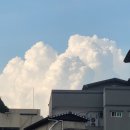 유앤유산부인과의원 | 갑상선암환자일기 #1. 암일 수도 있어요.