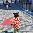 부오나피자삼척점 이미지