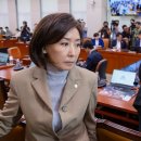 국민의 힘 간사 선임을 무기명 표결에 부친 민주당, 아수라장 법사위 이미지