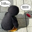 한림대병원_서 | 취준 일기