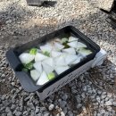 도마치 캠핑장 이미지