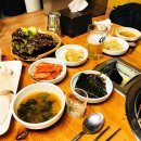 우림두꺼비