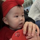 문화 | 🍕웅이의 문화센터 후기 – 이탈리아피자 만들기 수업