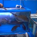 청정수산식당 이미지