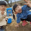 자연아트어린이집 이미지