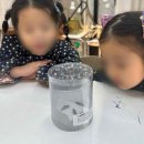 내황유치원 차량1 | 차량 픽업되는 문정동미술학원 후기, 워킹맘 한숨 돌렸어요