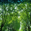 저스트비 크로스핏 | 9월,학교 폭파 기원 8030일차