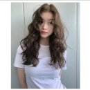 연희살롱