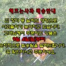 해뜨는농장 이미지