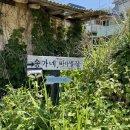 송가네 바다별장 이미지