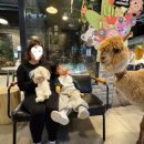 테이블에이 놀이터 이미지