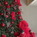 하양하나약국 | 9월 쇼핑리스트2 :: 목티와 바지