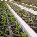 천해농장 | 6시내고향 부산 천마마을 유럽 쌈채소 직거래 및 스마트팜 정보