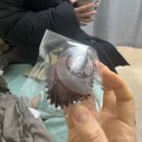 거인헬스 | 전방십자인대 자가건 재건술, 반월상연골파열 봉합술, 외측인대 보강술 수술 후기
