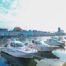 장림포구 이미지