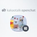 가람애견미용샵 이미지