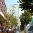 코엑스공인중개사사무소 이미지