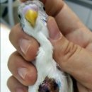 굿닥터동물병원 이미지