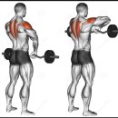 헬스로운짐 이미지