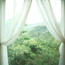 노바복스 | 집진기 뜻 건강 챙기는 이유 3가지 (노바복스 S1 흡진기 후기)