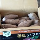 명동생칼국수 | 2025.04.28 ~ 05.04 일상 일기