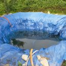 금주농장 이미지