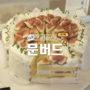 버드들 | 양주 대형 카페 문버드 갈변된 케이크 내돈내산 후기