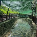 천마산 물놀이장 이미지