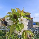 선학농장 이미지