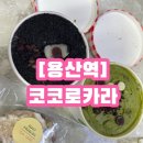 [용산역] 코코로카라 신메뉴 흑임자푸딩 씨앗호떡티케이크 스테디셀러 미쯔말차 내돈내산 후기