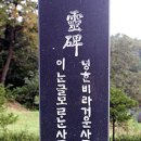 노원-현장-1536 | 471년 된 &#39;한글 비석&#39; 보물 됐다