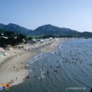 변산해수욕장 티스토리