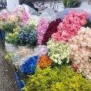 다함약국 이미지