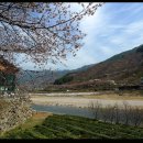 화개장터 이미지