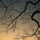 돌산공원 이미지