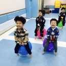 명지대 한얼 합기도 이미지