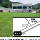 댕댕이애견 이미지