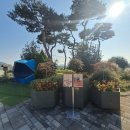 세종카 서비스 | 청주공항 출발 세종 찍고 서울 여행, 콜밴 대형택시 기사포함 렌트카 후기