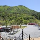 무릉도원면-21 이미지