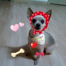 화곡4동 이미지